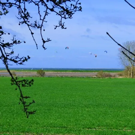 Schwalbennest 1 * Albertsdorf